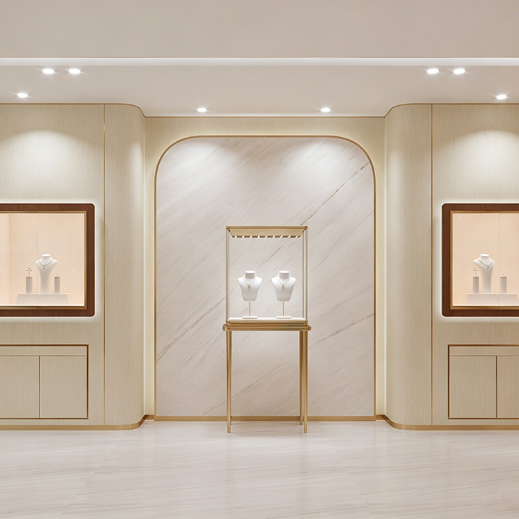 High-End Luxury Jewelry & Watch Display Case