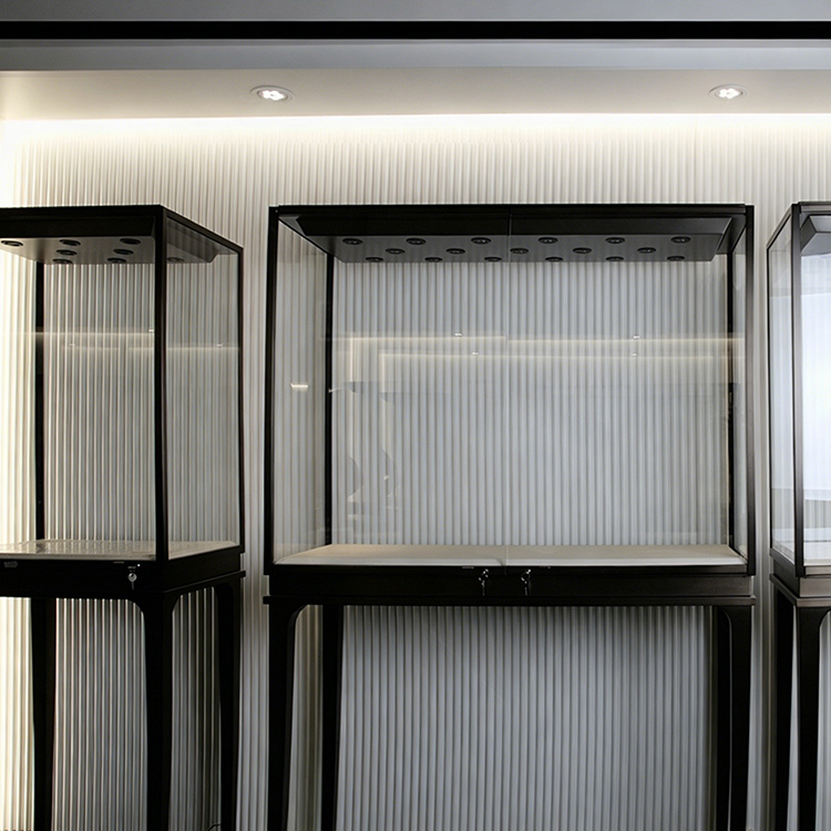 Display Case Company, Jewelry & Watch Display Case, Custom Cabinet, Luxury Design