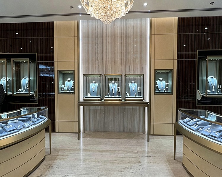 Custom High-Quality Luxury Jewelry & Watch Store Display Case