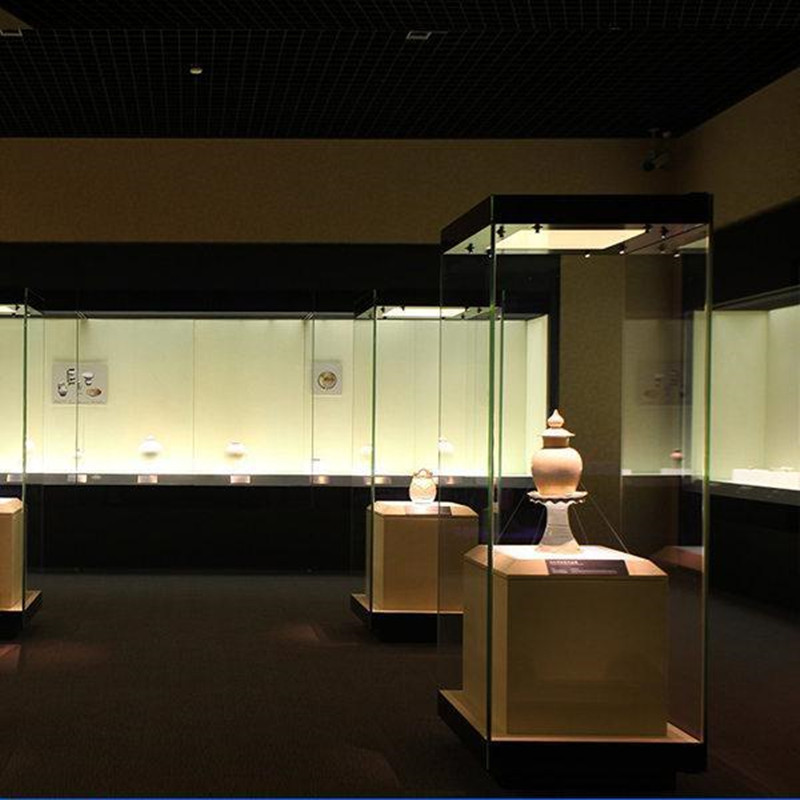 Museum Glass Showcase Tall Collection Display Case Professional Pedestal Cabinet